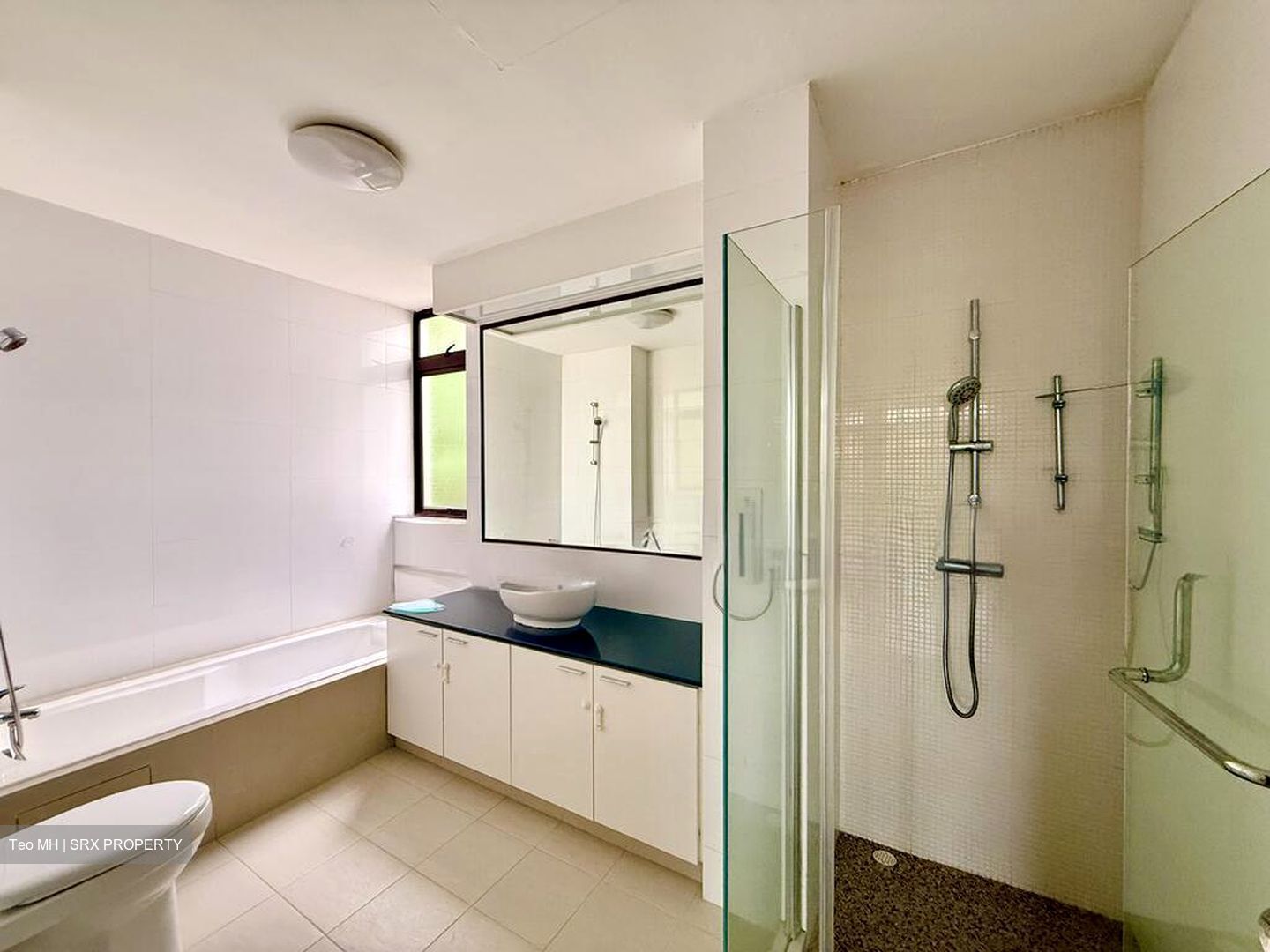 Astrid Meadows (D10), Condominium #517253701